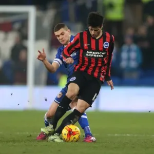 Teixeira in Action: Cardiff City vs. Brighton & Hove Albion, Sky Bet Championship (10FEB15) Teixeira in Action: Cardiff City vs. Brighton & Hove Albion, Sky Bet Championship (10FEB15)