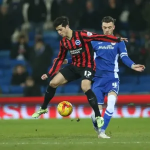 Teixeira's Midfield Masterclass: Cardiff vs. Brighton, Sky Bet Championship 2015 Teixeira's Midfield Masterclass: Cardiff vs. Brighton, Sky Bet Championship 2015