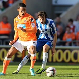 Thomas Ince vs. Will Buckley: Intense Moment from Blackpool vs. Brighton & Hove Albion, 2012