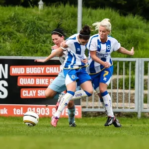 Thrilling Battle: Brighton & Hove Albion vs. West Ham United - Women's Football Match, 2013-14 Season