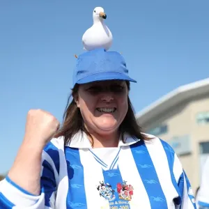 Thrilling EFL Sky Bet Championship Showdown: Brighton & Hove Albion vs. Bristol City (29APR17)