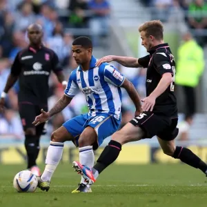 Print of Brighton & Hove Albion vs Birmingham City Match
