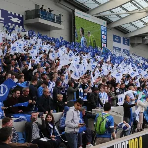 Thrilling Showdown: Brighton and Hove Albion vs. Bristol City in the EFL Sky Bet Championship (29APR17)