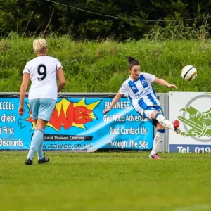 Thrilling Showdown: Brighton & Hove Albion vs. West Ham United (Women's Football, 2013-14 Season)