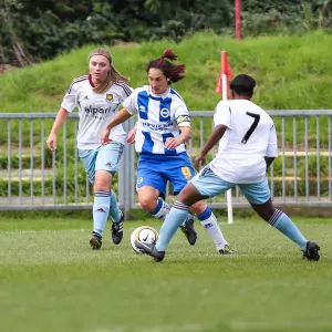 Thrilling Showdown: Brighton & Hove Albion vs. West Ham United (Women's Football, 2013-14 Season)