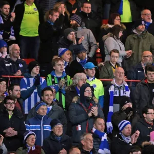 Thrilling Sky Bet Championship Showdown: Brighton and Hove Albion vs. Bristol City at Ashton Gate Stadium (23 Feb 2016)