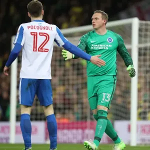 Tight Championship Clash: Norwich City vs. Brighton & Hove Albion at Carrow Road Stadium (21APR17) Tight Championship Clash: Norwich City vs. Brighton & Hove Albion at Carrow Road Stadium (21APR17)
