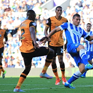 Tomer Hemed in Action: Brighton and Hove Albion vs. Hull City, Sky Bet Championship 2015
