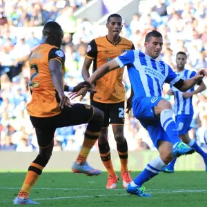 Tomer Hemed in Action: Brighton and Hove Albion vs. Hull City, Sky Bet Championship 2015 Tomer Hemed in Action: Brighton and Hove Albion vs. Hull City, Sky Bet Championship 2015