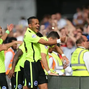 Tomer Hemed Scores the Thrilling Winner for Brighton and Hove Albion against Fulham in Sky Bet Championship 2015 Tomer Hemed Scores the Thrilling Winner for Brighton and Hove Albion against Fulham in Sky Bet Championship 2015