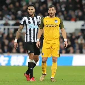 Tomer Hemed vs Jamaal Lascelles: Intense Battle in Newcastle United vs Brighton and Hove Albion Premier League Clash (30DEC17)