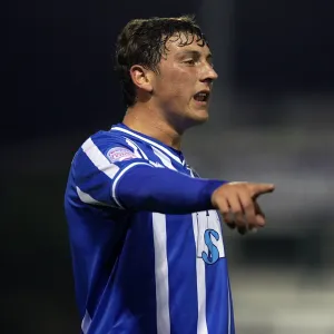Tommy Elphick: The Unyielding Seagull of Brighton and Hove Albion FC Tommy Elphick: The Unyielding Seagull of Brighton and Hove Albion FC