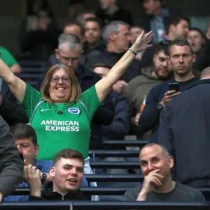 Tottenham Hotspur v Brighton and Hove Albion Premier League 23APR19