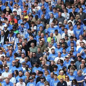 Tottenham Hotspur v Brighton and Hove Albion Premier League 25MAY25