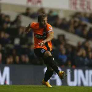 Tottenham vs. Brighton: Inigo Calderon in Action during the Capital One Cup Showdown, 29th October 2014 Tottenham vs. Brighton: Inigo Calderon in Action during the Capital One Cup Showdown, 29th October 2014