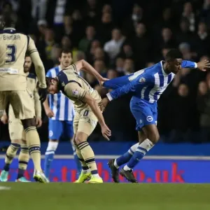 Tug-of-War in Midfield: Rohan Ince Caught in the Middle during Brighton & Hove Albion vs Leeds United (24FEB15) Tug-of-War in Midfield: Rohan Ince Caught in the Middle during Brighton & Hove Albion vs Leeds United (24FEB15)