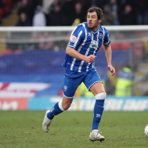 The Unyielding Seagull: Gordon Greer's Legacy at Brighton and Hove Albion FC
