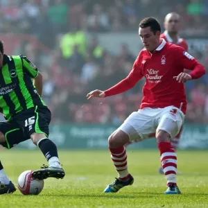 Vicente's Showdown: Brighton & Hove Albion vs. Nottingham Forest in Championship Clash (March 24, 2012) Vicente's Showdown: Brighton & Hove Albion vs. Nottingham Forest in Championship Clash (March 24, 2012)