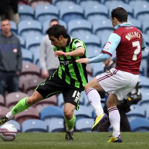 Vicente's Unyielding Spirit: A Determined Performance at Turf Moor (Burnley vs. Brighton & Hove Albion, April 6, 2012) Vicente's Unyielding Spirit: A Determined Performance at Turf Moor (Burnley vs. Brighton & Hove Albion, April 6, 2012)