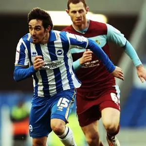 Vicente's Victory: Brighton & Hove Albion vs. Burnley, Npower Championship, Amex Stadium, February 23, 2013 Vicente's Victory: Brighton & Hove Albion vs. Burnley, Npower Championship, Amex Stadium, February 23, 2013
