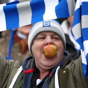 A Victorious Home Game: Brighton & Hove Albion vs. Bristol City (2011-12) A Victorious Home Game: Brighton & Hove Albion vs. Bristol City (2011-12)