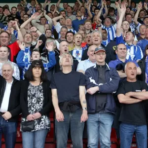 Walsall Celebrations: Brighton & Hove Albion's Euphoric Away Day, 2010-11 Season