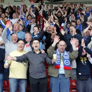 Walsall Celebrations: A Memorable Away Game from Brighton & Hove Albion's 2010-11 Season