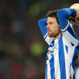 Wayne Bridge: A Seagull Soaring for Brighton and Hove Albion Wayne Bridge: A Seagull Soaring for Brighton and Hove Albion