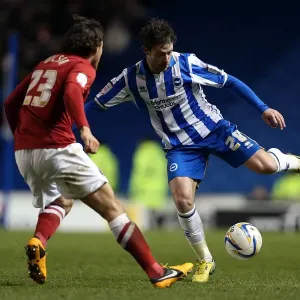 Wayne Bridge's Focus: Brighton & Hove Albion vs Charlton Athletic, Amex Stadium Showdown - April 2, 2013
