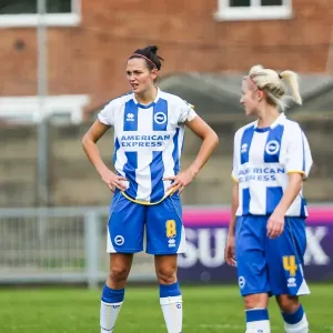 West Ham vs. Brighton & Hove Albion: A Battle in the 2013-14 Women's Football Season