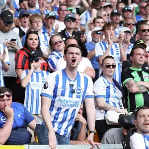 Wolverhampton Wanderers v Brighton and Hove Albion Premier League 10MAY25 Wolverhampton Wanderers v Brighton and Hove Albion Premier League 10MAY25