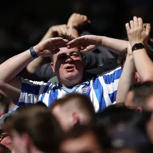 Wolverhampton Wanderers v Brighton and Hove Albion Premier League 10MAY25 Wolverhampton Wanderers v Brighton and Hove Albion Premier League 10MAY25
