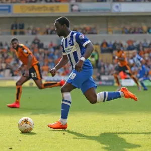 Wolverhampton Wanderers vs. Brighton and Hove Albion: Sky Bet Championship Clash at Molineux Stadium (17/09/2015) Wolverhampton Wanderers vs. Brighton and Hove Albion: Sky Bet Championship Clash at Molineux Stadium (17/09/2015)