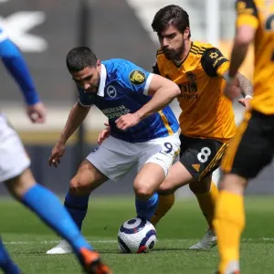 Wolverhampton Wanderers vs. Brighton and Hove Albion: Intense Premier League Clash at Molineux Stadium (09MAY21) Wolverhampton Wanderers vs. Brighton and Hove Albion: Intense Premier League Clash at Molineux Stadium (09MAY21)