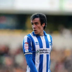Wolves Brighton 121110 Wolves Brighton 121110