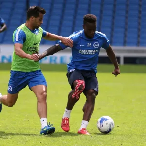 Young Seagulls in Action: Brighton & Hove Albion FC Open Training Session, 31st July 2015 (Kazenga LuaLua, Sam Baldock)