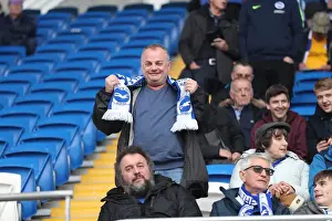 10NOV18: Intense Premier League Battle - Cardiff City vs. Brighton and Hove Albion at Cardiff City Stadium
