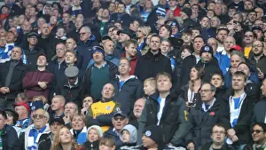 10NOV18: Intense Premier League Battle - Cardiff City vs. Brighton and Hove Albion at Cardiff City Stadium