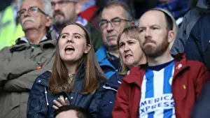 10NOV18: Intense Premier League Clash - Cardiff City vs. Brighton and Hove Albion at Cardiff City Stadium