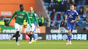 Cardiff City Prints: 10NOV18: Intense Premier League Showdown - Cardiff City vs