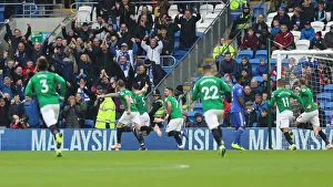 10NOV18: Premier League Battle - Cardiff City vs. Brighton and Hove Albion at Cardiff City Stadium