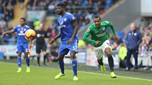 10NOV18: Premier League Battle - Cardiff City vs. Brighton and Hove Albion at Cardiff City Stadium