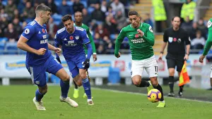 10NOV18: Premier League Battle - Cardiff City vs. Brighton and Hove Albion at Cardiff City Stadium