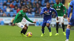 10NOV18: Premier League Battle - Cardiff City vs. Brighton and Hove Albion at Cardiff City Stadium