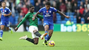 Images Dated 10th November 2018: 10NOV18: Premier League Battle - Cardiff City vs. Brighton and Hove Albion at Cardiff City Stadium