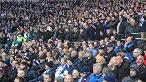10NOV18: Premier League Showdown - Cardiff City vs. Brighton and Hove Albion at Cardiff City Stadium