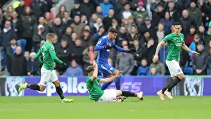 10NOV18: Premier League Showdown - Cardiff City vs. Brighton and Hove Albion at Cardiff City Stadium