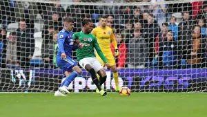 10NOV18: Premier League Showdown - Cardiff City vs. Brighton and Hove Albion at Cardiff City Stadium
