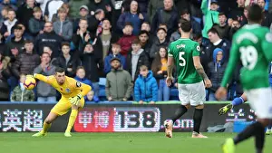 10NOV18: Premier League Showdown - Cardiff City vs. Brighton and Hove Albion at Cardiff City Stadium