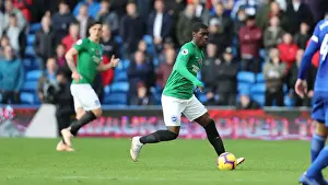 10NOV18: Premier League Showdown - Cardiff City vs. Brighton and Hove Albion at Cardiff City Stadium